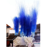 Gender Party Fum GENDER PARTY