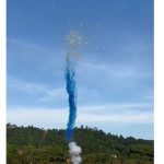 Gender Party Fum GENDER PARTY